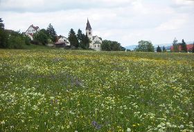 Dorf Göschweiler 07.jpg